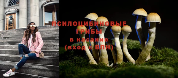 PSILOCYBIN Абинск
