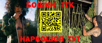 PSILOCYBIN Канаш