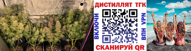 блэк спрут сайт  Майский  ТГК гашишное масло  дарнет шоп 