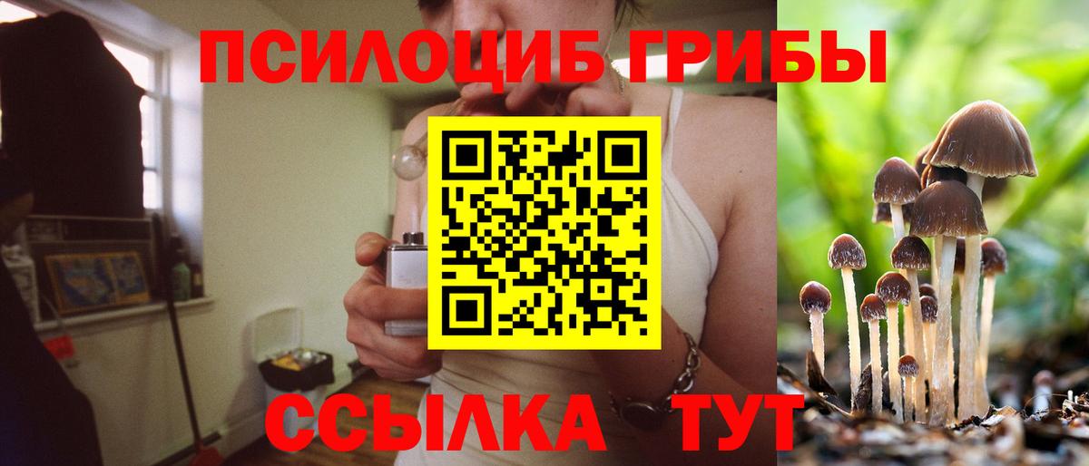 Галлюциногенные грибы ЛСД Майский